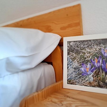 Przy Szlaku Zakopane Centrum Pokoje & Apartamenty מראה חיצוני תמונה