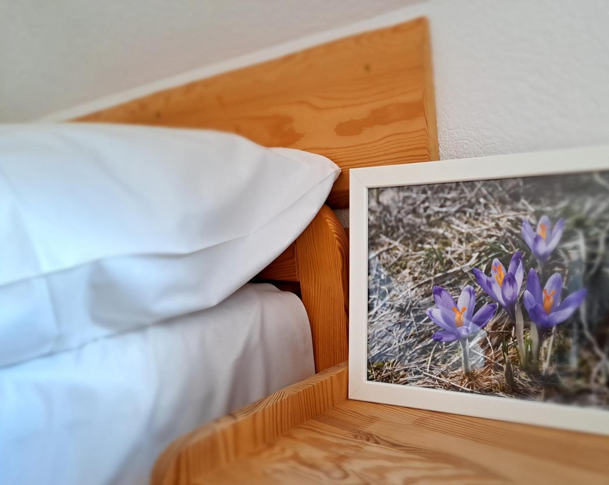 Przy Szlaku Zakopane Centrum Pokoje & Apartamenty מראה חיצוני תמונה